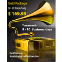 Mixing Package Gold 30 to 39 Tracks per Song