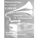 Mixing Package Platinum 50+ plus Tracks per Song