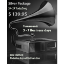 Mixing Package Silver 20 to 29 Tracks per Song