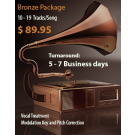 Mixing Package Bronze 10 to19 Tracks per Song